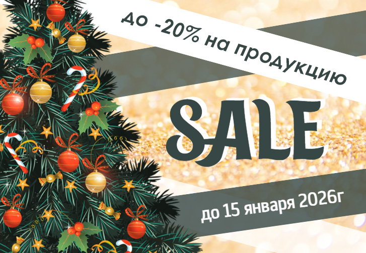 Новогодняя акция 2026